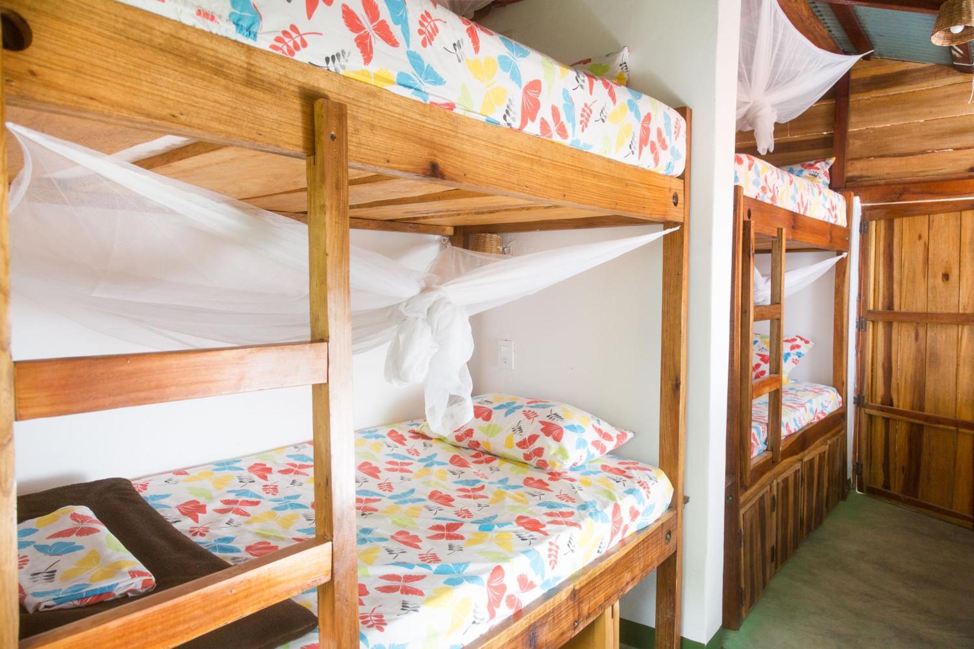 Mundo Nuevo Eco Lodge Minca Zimmer foto